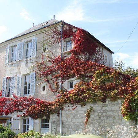 Gite Au Calme Avec Jardin Et Wifi A La Roche-Posay - Fr-1-541-52 Villa Exterior photo